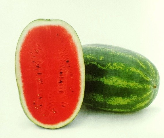 Диня Паладин F1 (7032)